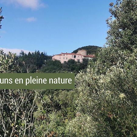 Pyrenees Mon Amour Felluns Zewnętrze zdjęcie