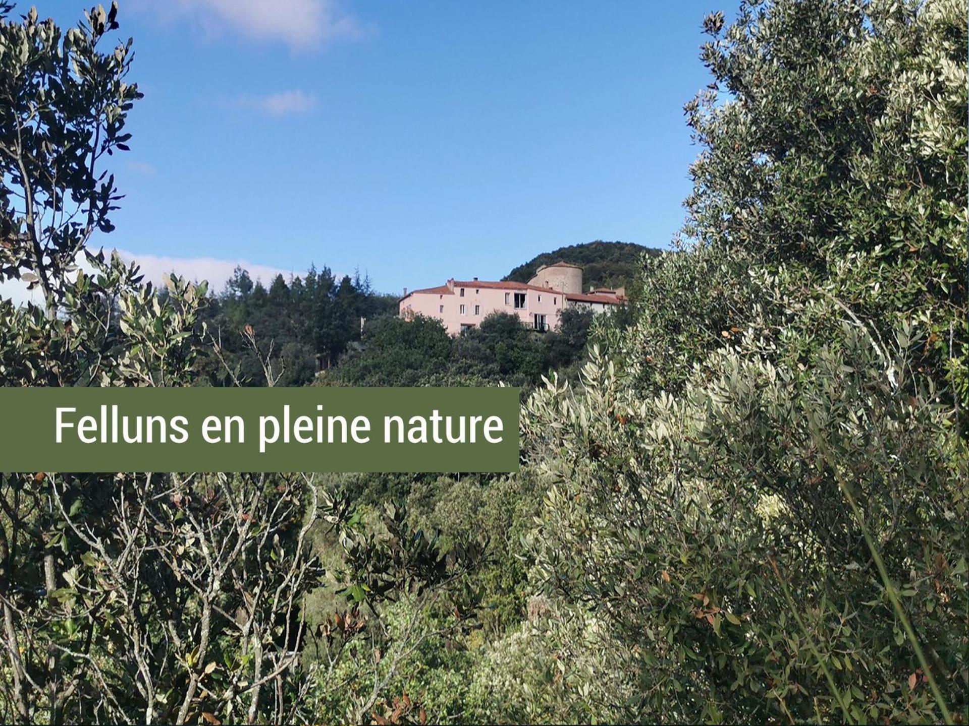 Pyrenees Mon Amour Felluns Zewnętrze zdjęcie