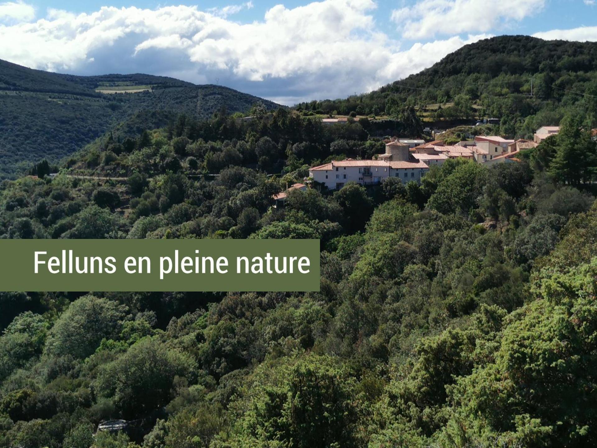 Pyrenees Mon Amour Felluns Zewnętrze zdjęcie